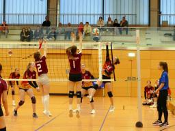 8. Spieltag U18 Damen VB